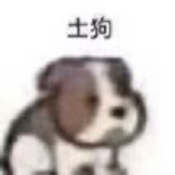 足够动人
