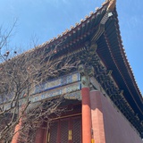 啦啦啦