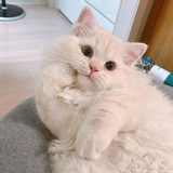 不喜欢吃甜食