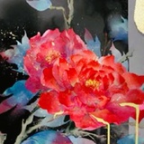 衣杨柳