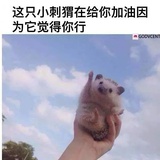 游客