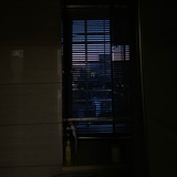 瓜(反刍是狗版