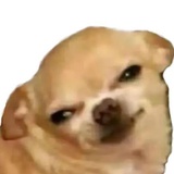 别来烦姐