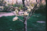 Xuan