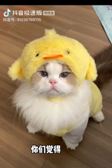 北慕洛川