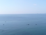 疏影