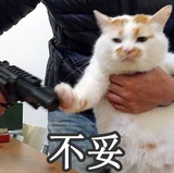 整肠丸子