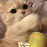 宇文水獭