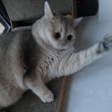 鱼塘到底包给谁