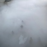 遊糸