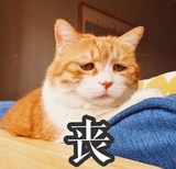 twxiao