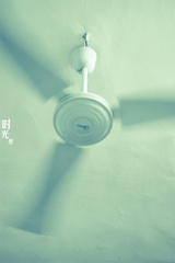 圆滚滚的小西瓜