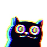 404