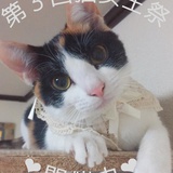 水寶