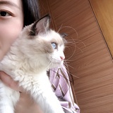 AKA顾未易