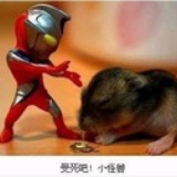 犟爆指天椒