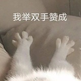 陈一一