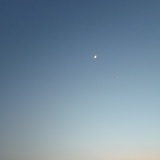 佐
