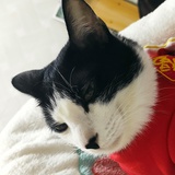 。
