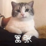 素孤蒲未