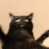 yiyi