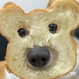 捞月猛男