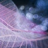 时光荏苒0321