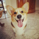 意犹未尽