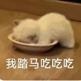你说的都对