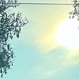 继续站