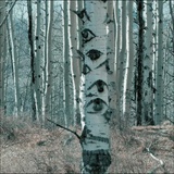 24tazettal_
