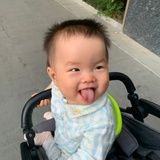 四月物语