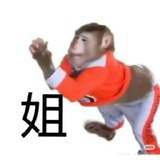 菠萝球居民