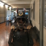 城南
