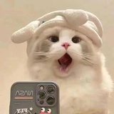 夏时里