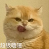 晴转多运