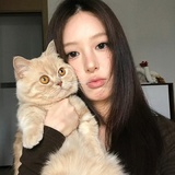 林朝夕
