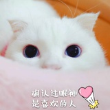 水水