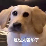 oho