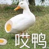 遥远的歌