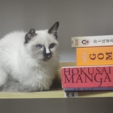 驻马店凯鲁亚克