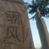糖吉柯德