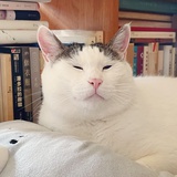 豆酱