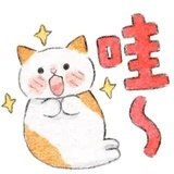 去年花不老