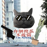 介个傻瓜不敢当