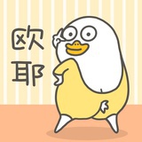 是小刘鸭