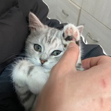 今天次火锅了嘛