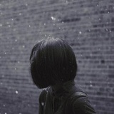 岸芷汀兰