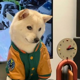 看我想理你吗🙄