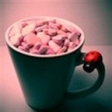 向风而行